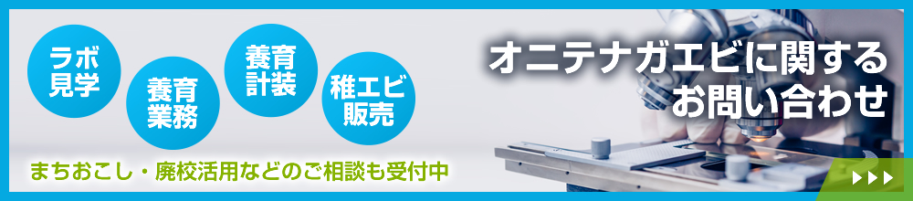 オニテナガエビに関するお問い合わせ