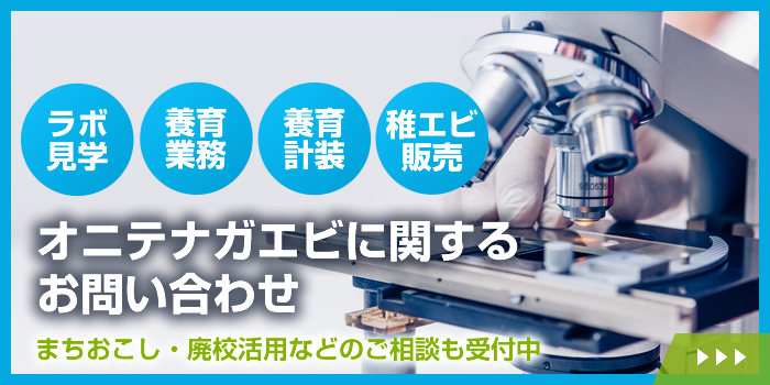 オニテナガエビに関するお問い合わせ