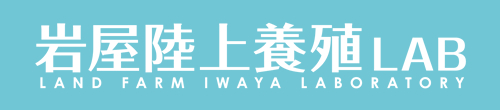 岩屋陸上養殖LAB