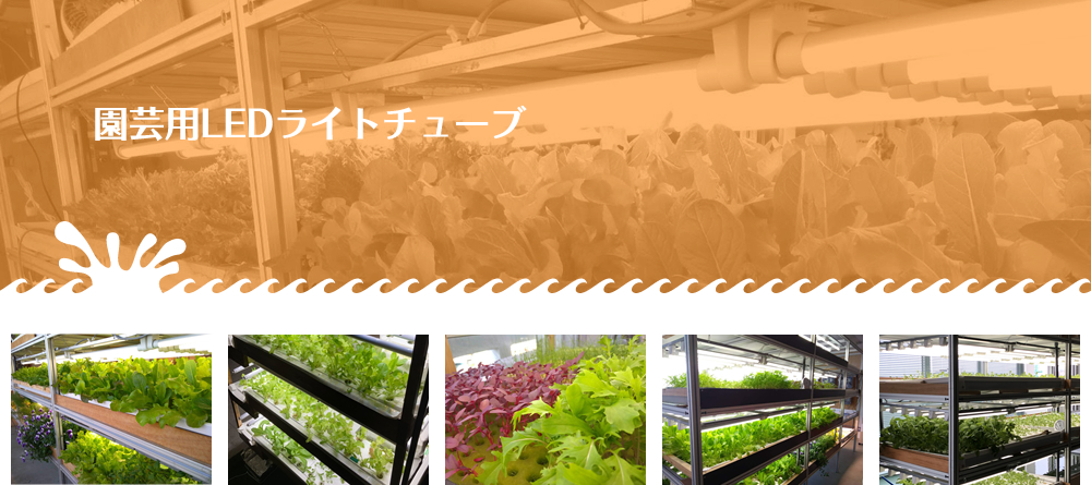 園芸用LEDライトチューブ