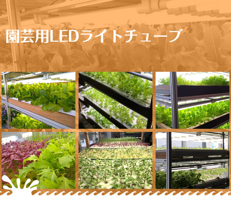 園芸用LEDライトチューブ